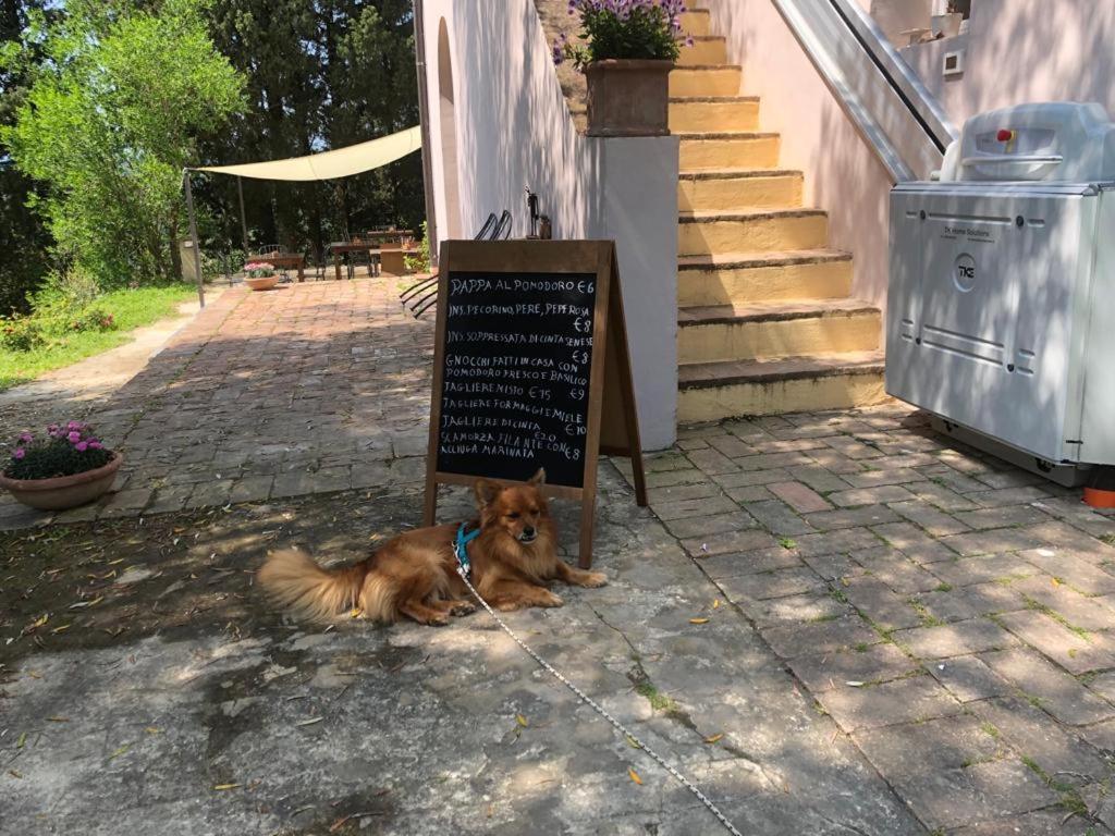 Bed and Breakfast Bb Gli Aristogatti Ghizzano Exterior foto