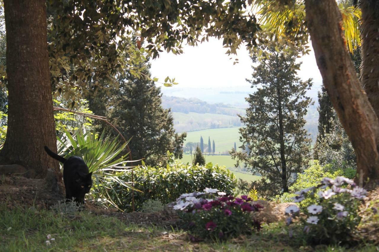 Bed and Breakfast Bb Gli Aristogatti Ghizzano Exterior foto